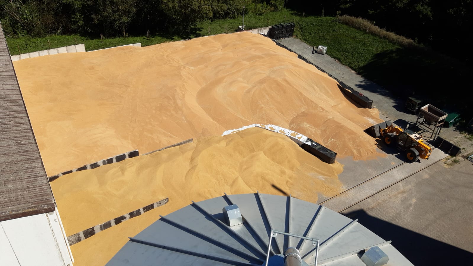 newsimages/99-Ernte 5.jpg